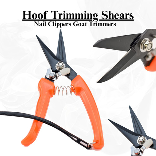 Hoof trimming shears heavy - trimming, –