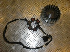 PGO T REX 50 GENERATOR WITH FLYWHEEL