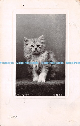 R265204 frisky cat the - r265204, philco
