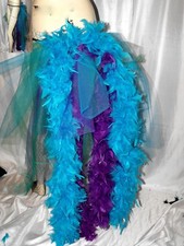 Peacock Paradise Bird