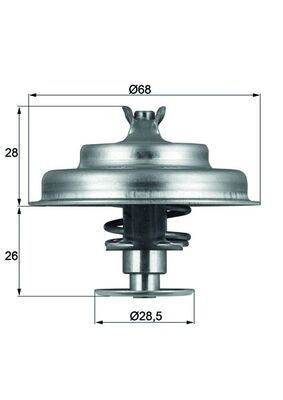 Thermostat coolant mahle - coolant,