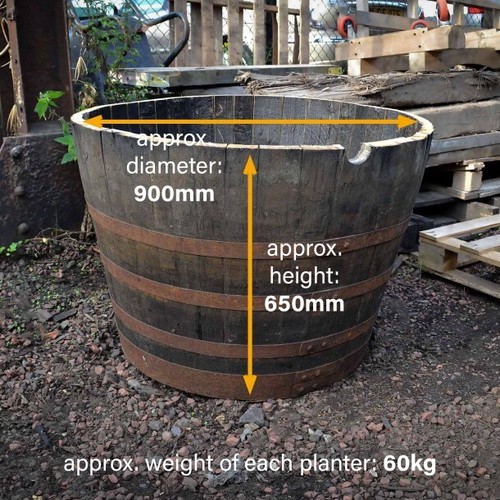 Barrel planter whisky - barrel, oak