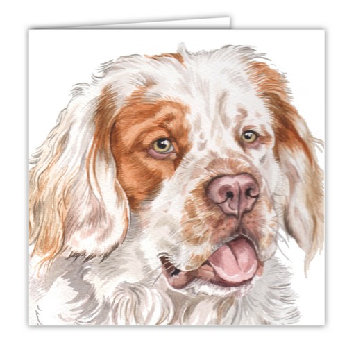 Clumber spaniel greetings card - clumber,