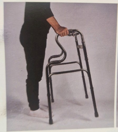 Dual wheel walking frame with - frame,