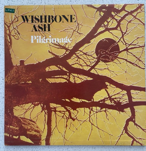 Vinyl wishbone ash album - vinyl,
