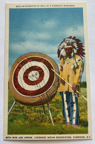 Vintage linen postcard native - postcard~,