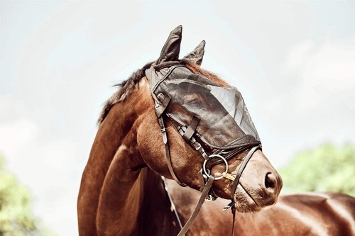 Horse guard ride fly mask - guard,