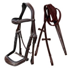 horse riding bridle