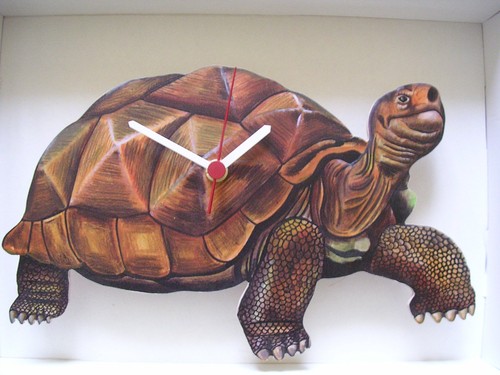 Tortoise wall clock new - clock.,