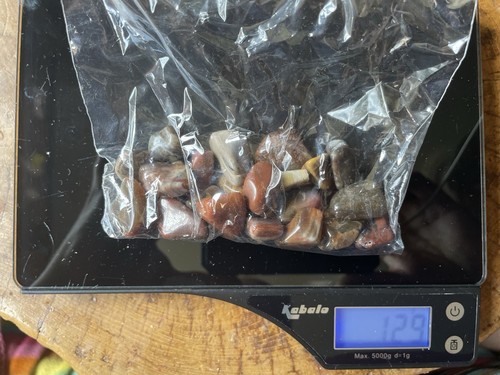 125g wood fossil gemstone - 125g,