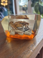 Vintage Retro Amber Faceted