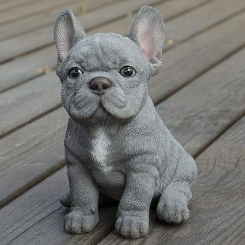 Realistic sitting blue french - blue,