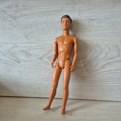 Sindy paul doll 1987 ken - sindy,