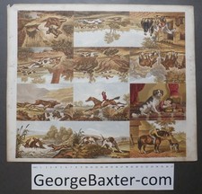 TWELVE Hunting & Sporting prints by Kronheim - George Baxter UNCUT SHEET 1850's