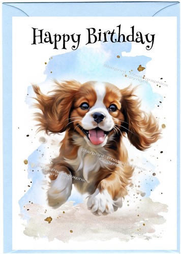 Cavalier king charles dog - charles,