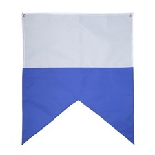 White And Blue Scubas Diving