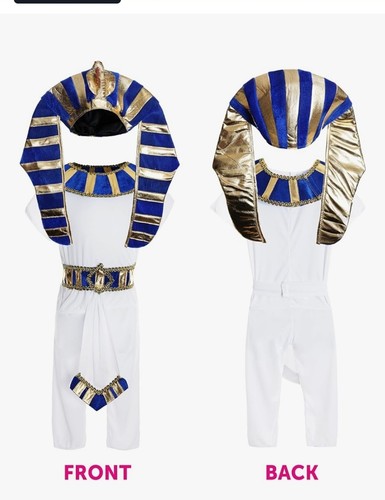 Boys egyptian fancy dress - boys,