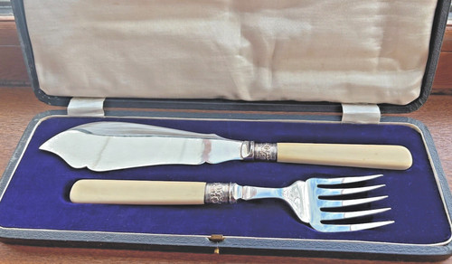 Cased fish serving - fish,