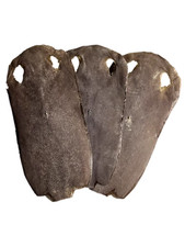7in Real Stingray Fish Skin