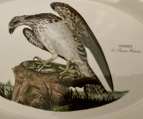Portmeirion birds - portmeirion,