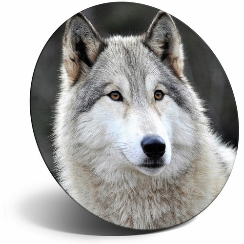 Awesome fridge magnet white - fridge,