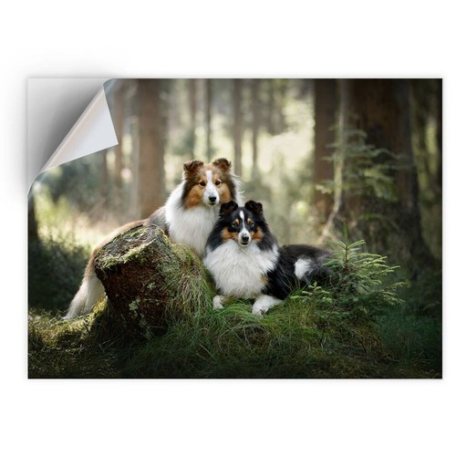 Vinyl sticker sheltie - a5,