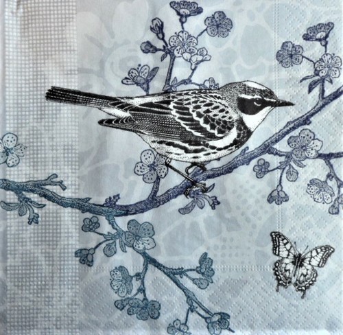Single paper napkins - 20,