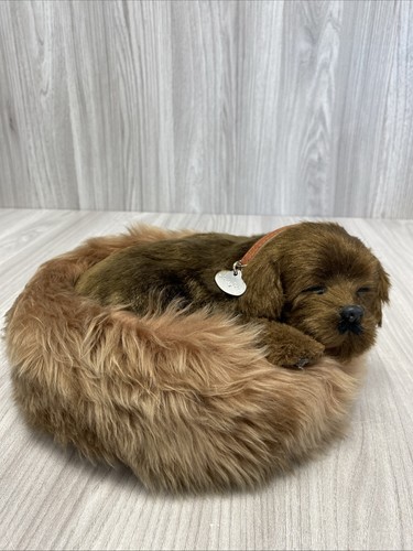 Perfect petzzz chocolate - petzzz,