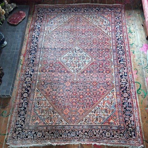 Antique bidjar rug - antique,
