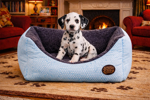 Blue polka dot - dot, bed