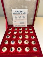 Human Prosthetic Eyes –