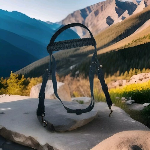 Custom hand made headstall - custom,