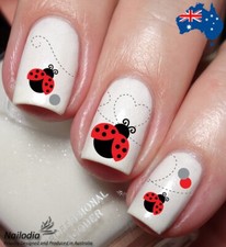 Ladybug Ladybird Lady beetles