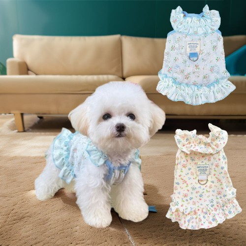 Dog cool dress cute - dog,