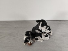 Border Collie with Three Pups