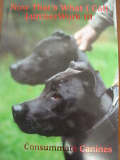 Now That's What I Call