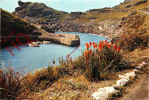 Picture postcard boscastle - picture,