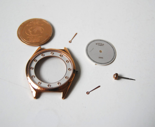 Rotary 1895 rose - rotary,