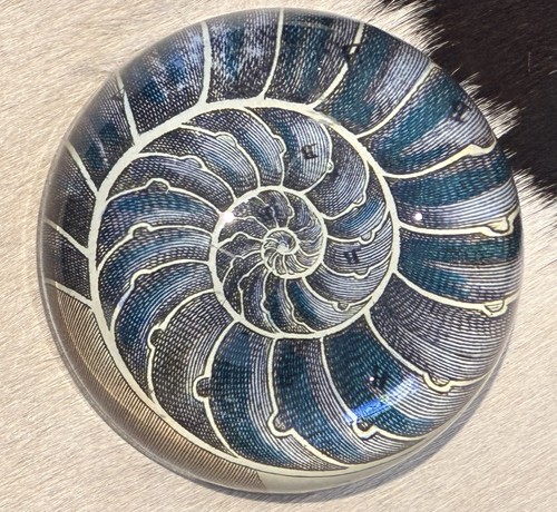 John derian nautilus dome - john,