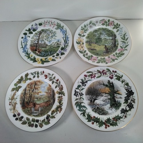 Coalport woodland seasons - x4,
