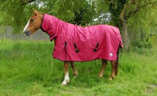 Rhinegold Konig 200G Fixed