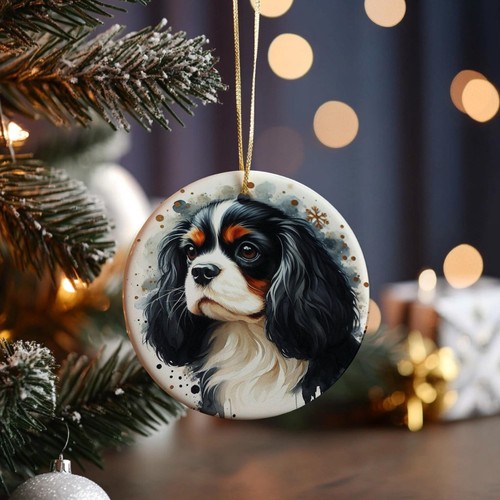 Cavalier king charles spaniel - king,