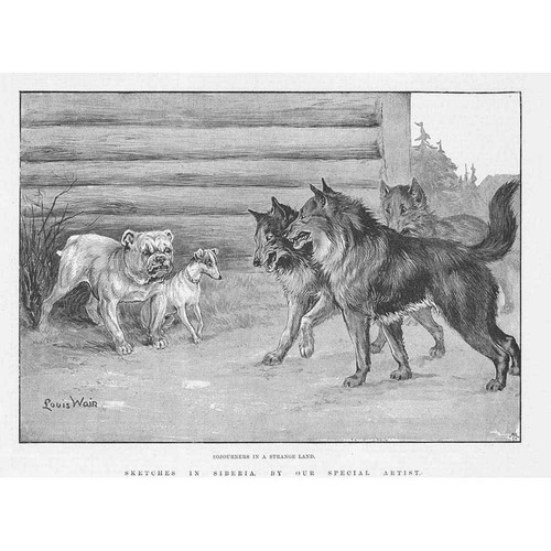 Dogs sojourn strange land - a,