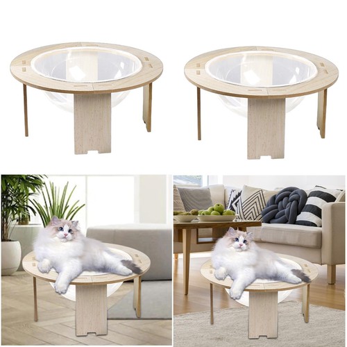 Cat bed capsule sleeping - cat,