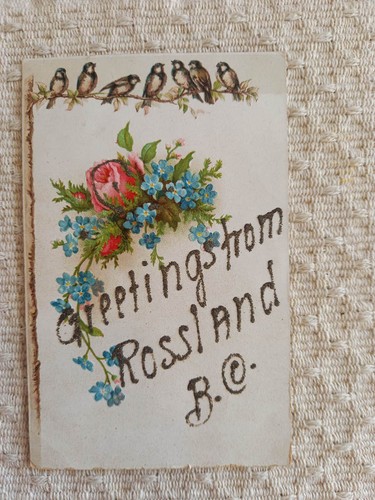 Rossland postcard birds - bc,