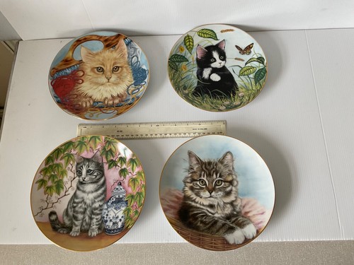 Collectors kitten appeal - 4,