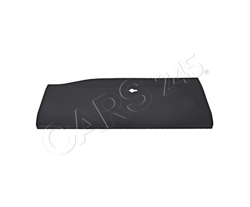 Left molding trim for iveco - left,