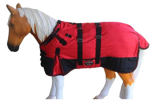 00d miniature weanling - 00d,