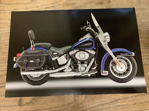 Harley davidson poster - davidson, print