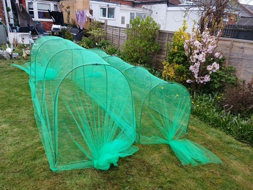 Large garden cloche - large,